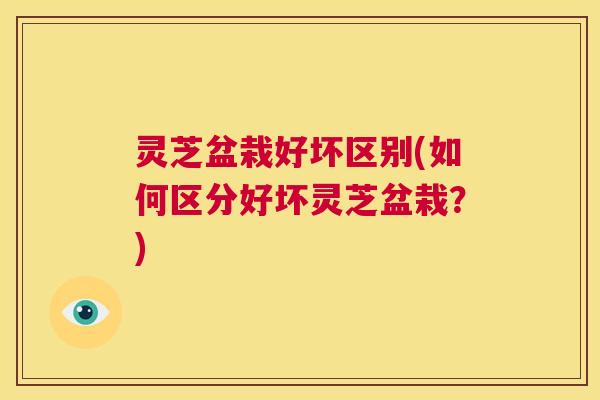 灵芝盆栽好坏区别(如何区分好坏灵芝盆栽？)