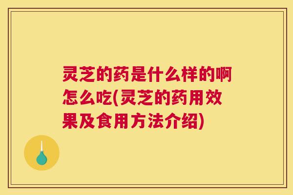 灵芝的药是什么样的啊怎么吃(灵芝的药用效果及食用方法介绍) 灵芝的药是什么样的啊怎么吃(灵芝的药用效果及食用方法介绍)