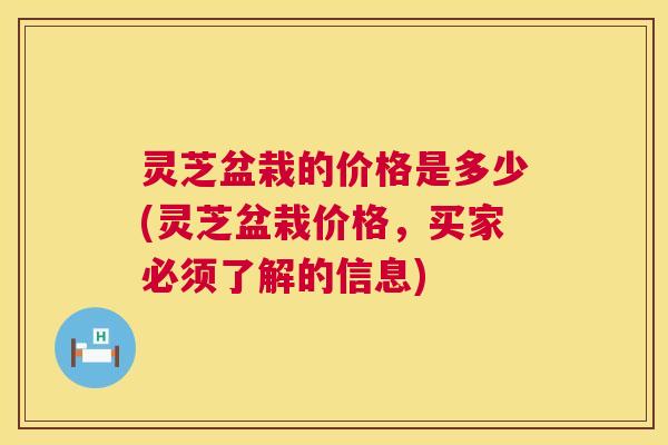 灵芝盆栽的价格是多少(灵芝盆栽价格，买家必须了解的信息)
