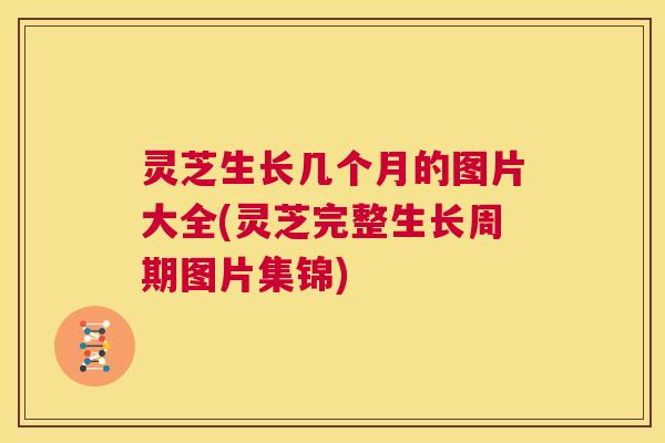 灵芝生长几个月的图片大全(灵芝完整生长周期图片集锦)