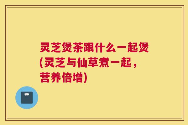 灵芝煲茶跟什么一起煲(灵芝与仙草煮一起，营养倍增)