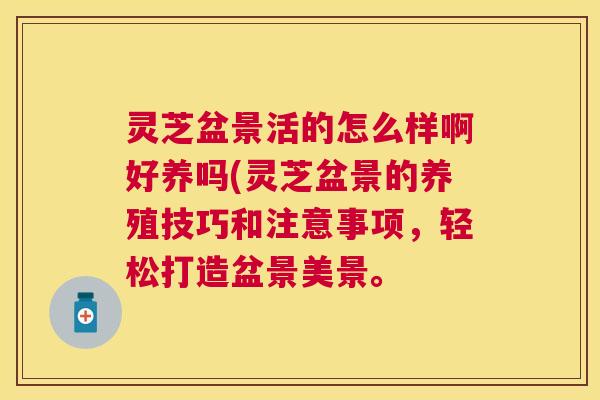 灵芝盆景活的怎么样啊好养吗(灵芝盆景的养殖技巧和注意事项，轻松打造盆景美景。