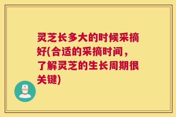 灵芝长多大的时候采摘好(合适的采摘时间，了解灵芝的生长周期很关键)