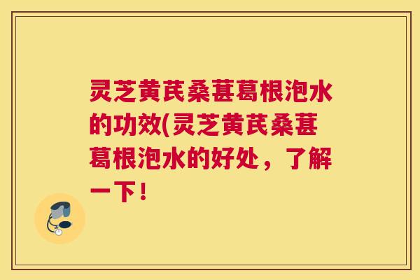 灵芝黄芪桑葚葛根泡水的功效(灵芝黄芪桑葚葛根泡水的好处，了解一下！