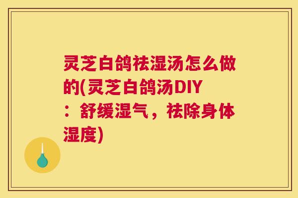 灵芝白鸽祛湿汤怎么做的(灵芝白鸽汤DIY：舒缓湿气，祛除身体湿度)