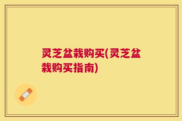 灵芝盆栽购买(灵芝盆栽购买指南)