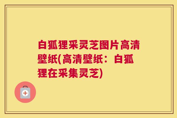 白狐狸采灵芝图片高清壁纸(高清壁纸：白狐狸在采集灵芝)