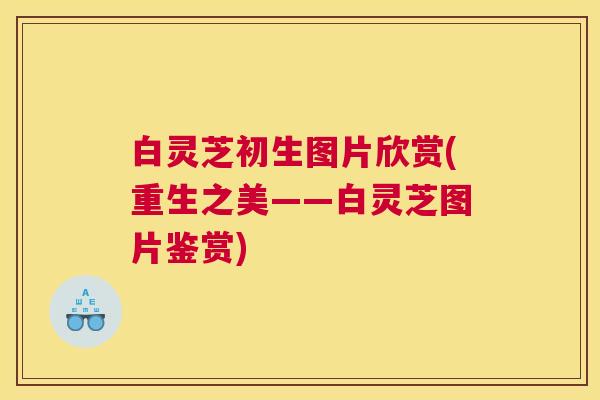 白灵芝初生图片欣赏(重生之美——白灵芝图片鉴赏) 白灵芝初生图片欣赏(重生之美——白灵芝图片鉴赏)