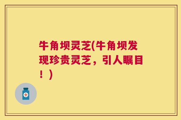 牛角坝灵芝(牛角坝发现珍贵灵芝，引人瞩目！)