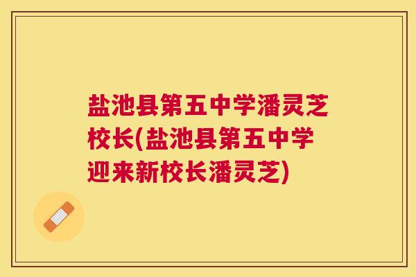 盐池县第五中学潘灵芝校长(盐池县第五中学迎来新校长潘灵芝)