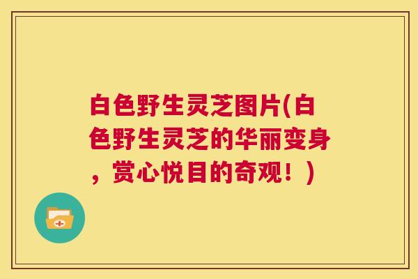 白色野生灵芝图片(白色野生灵芝的华丽变身，赏心悦目的奇观！)