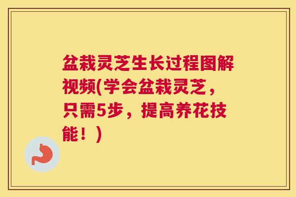 盆栽灵芝生长过程图解视频(学会盆栽灵芝,只需5步,提高养花技能!) 盆栽灵芝生长过程图解视频(学会盆栽灵芝,只需5步,提高养花技能!)