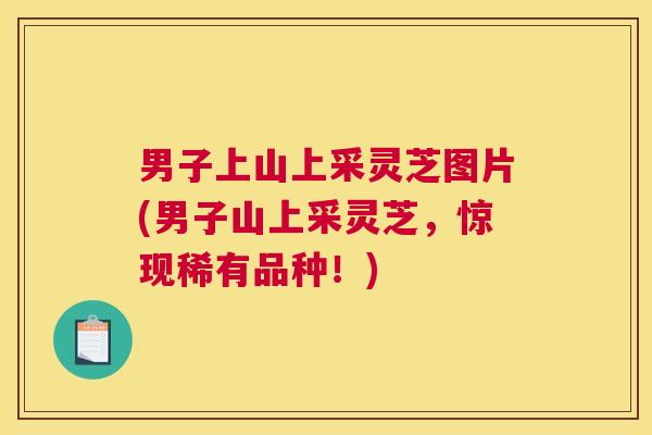 男子上山上采灵芝图片(男子山上采灵芝，惊现稀有品种！)