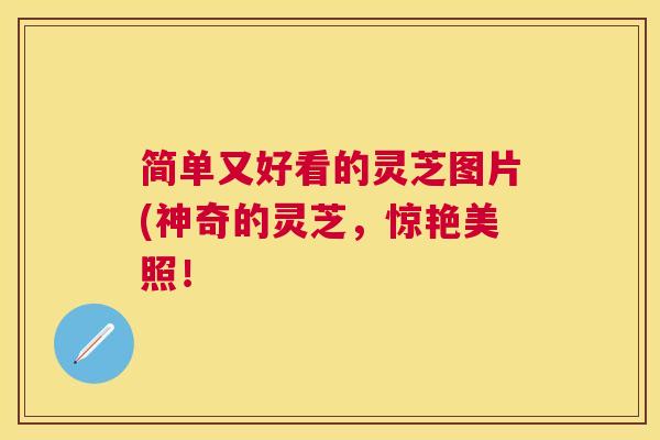 简单又好看的灵芝图片(神奇的灵芝，惊艳美照！