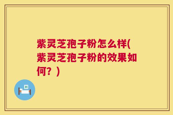 紫灵芝孢子粉怎么样(紫灵芝孢子粉的效果如何?) 紫灵芝孢子粉怎么样(紫灵芝孢子粉的效果如何?)