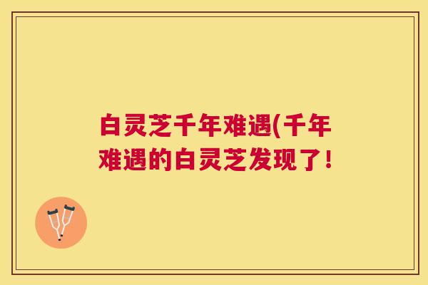 白灵芝千年难遇(千年难遇的白灵芝发现了！