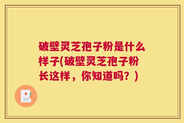 破壁灵芝孢子粉是什么样子(破壁灵芝孢子粉长这样，你知道吗？)