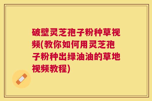 破壁灵芝孢子粉种草视频(教你如何用灵芝孢子粉种出绿油油的草地视频教程)