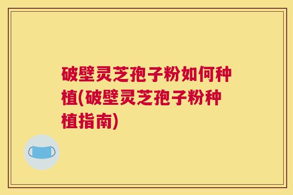 破壁灵芝孢子粉如何种植(破壁灵芝孢子粉种植指南)
