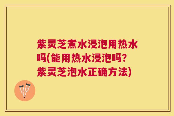 紫灵芝煮水浸泡用热水吗(能用热水浸泡吗？紫灵芝泡水正确方法)