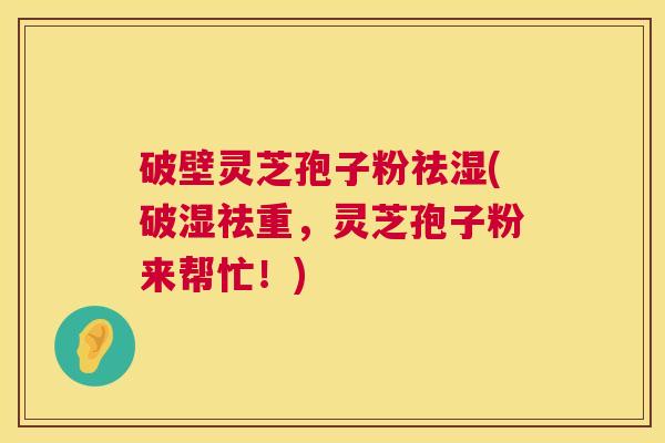 破壁灵芝孢子粉祛湿(破湿祛重,灵芝孢子粉来帮忙!) 破壁灵芝孢子粉祛湿(破湿祛重,灵芝孢子粉来帮忙!)