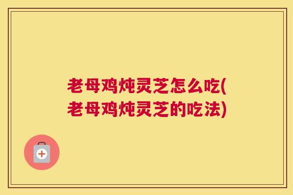 老母鸡炖灵芝怎么吃(老母鸡炖灵芝的吃法)