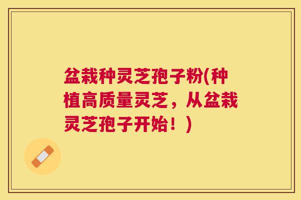 盆栽种灵芝孢子粉(种植高质量灵芝，从盆栽灵芝孢子开始！)