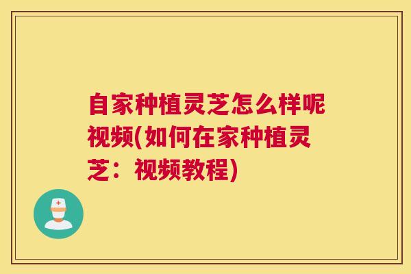 自家种植灵芝怎么样呢视频(如何在家种植灵芝：视频教程)