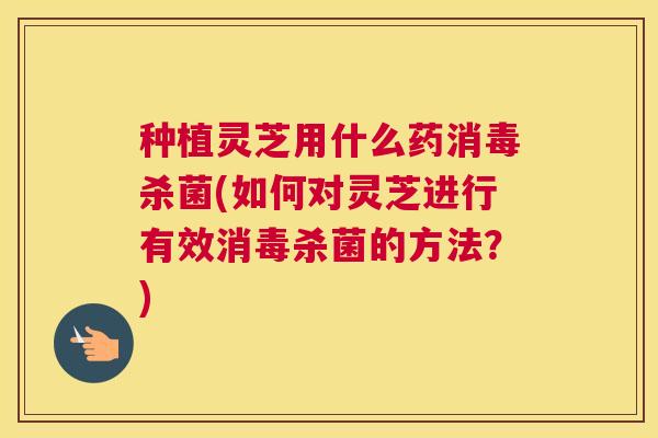 种植灵芝用什么药消毒杀菌(如何对灵芝进行有效消毒杀菌的方法？)