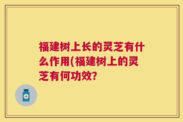 福建树上长的灵芝有什么作用(福建树上的灵芝有何功效？