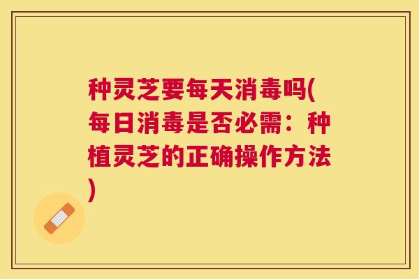 种灵芝要每天消毒吗(每日消毒是否必需：种植灵芝的正确操作方法)