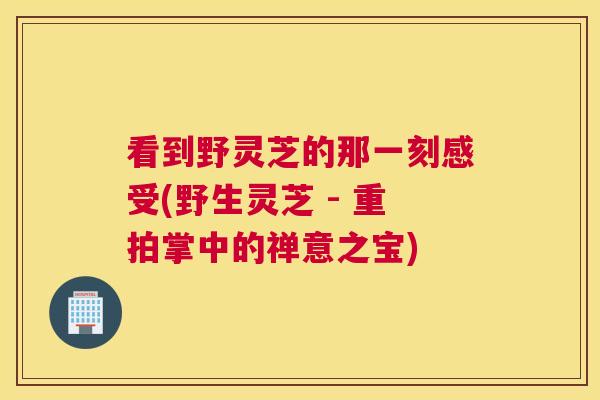 看到野灵芝的那一刻感受(野生灵芝 - 重拍掌中的禅意之宝)