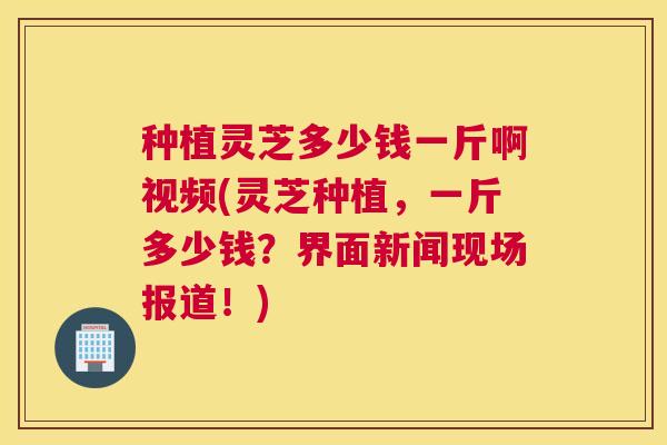 种植灵芝多少钱一斤啊视频(灵芝种植，一斤多少钱？界面新闻现场报道！)