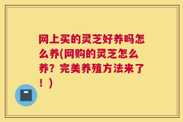 网上买的灵芝好养吗怎么养(网购的灵芝怎么养？完美养殖方法来了！)