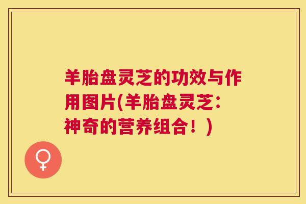 羊胎盘灵芝的功效与作用图片(羊胎盘灵芝：神奇的营养组合！)
