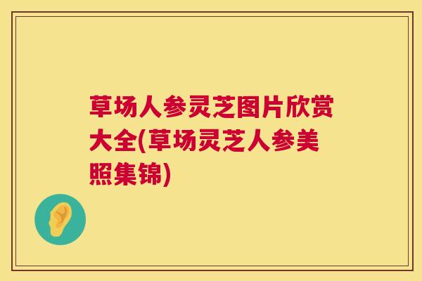 草场人参灵芝图片欣赏大全(草场灵芝人参美照集锦)