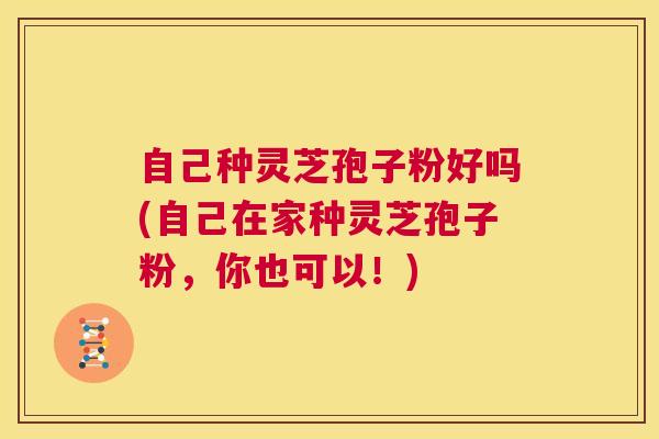 自己种灵芝孢子粉好吗(自己在家种灵芝孢子粉，你也可以！)