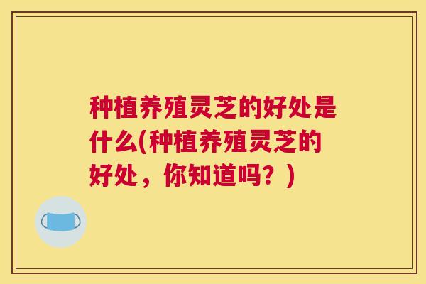 种植养殖灵芝的好处是什么(种植养殖灵芝的好处，你知道吗？)