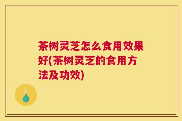 茶树灵芝怎么食用效果好(茶树灵芝的食用方法及功效)