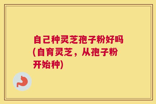 自己种灵芝孢子粉好吗(自育灵芝，从孢子粉开始种)