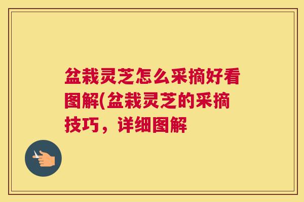 盆栽灵芝怎么采摘好看图解(盆栽灵芝的采摘技巧，详细图解