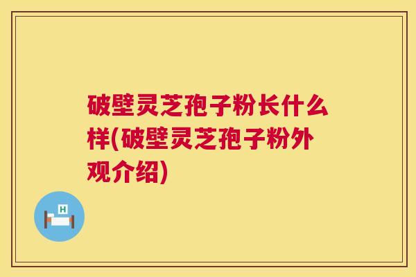 破壁灵芝孢子粉长什么样(破壁灵芝孢子粉外观介绍)