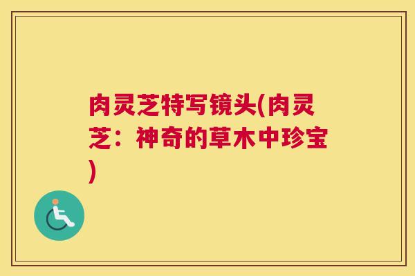肉灵芝特写镜头(肉灵芝:神奇的草木中珍宝) 肉灵芝特写镜头(肉灵芝:神奇的草木中珍宝)