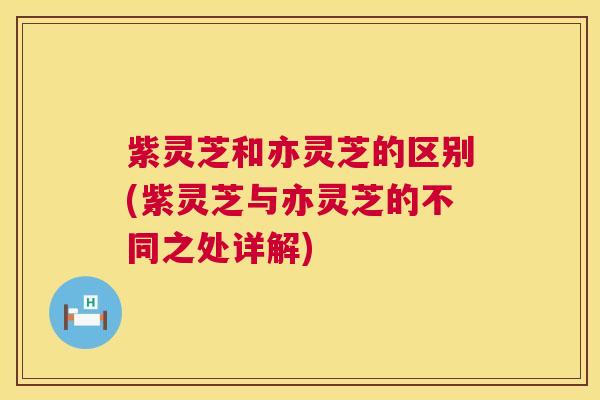紫灵芝和亦灵芝的区别(紫灵芝与亦灵芝的不同之处详解)