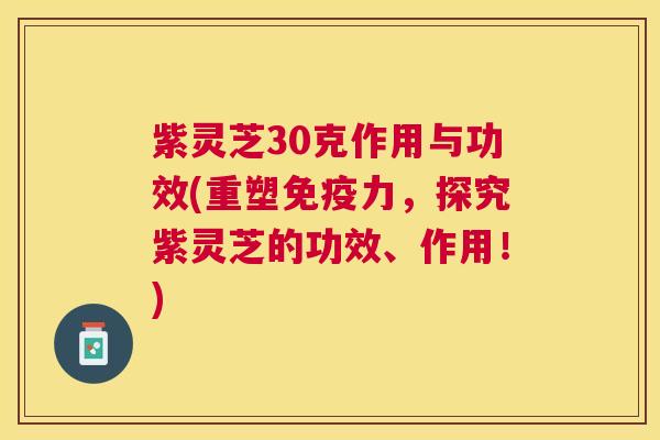 紫灵芝30克作用与功效(重塑免疫力,探究紫灵芝的功效、作用!) 紫灵芝30克作用与功效(重塑免疫力,探究紫灵芝的功效、作用!)