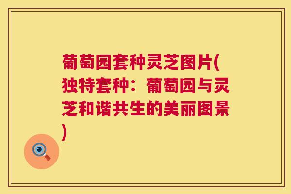 葡萄园套种灵芝图片(独特套种：葡萄园与灵芝和谐共生的美丽图景)