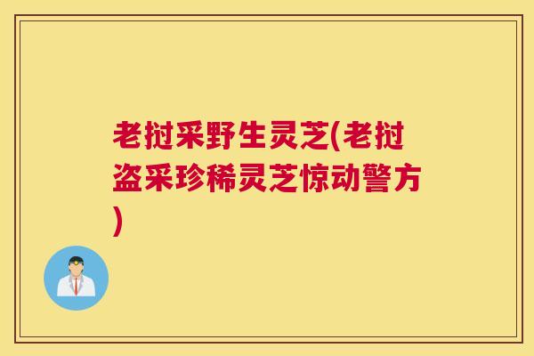 老挝采野生灵芝(老挝盗采珍稀灵芝惊动警方)