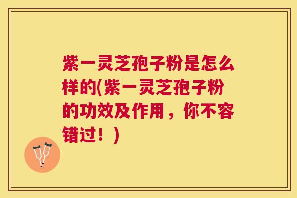 紫一灵芝孢子粉是怎么样的(紫一灵芝孢子粉的功效及作用，你不容错过！)