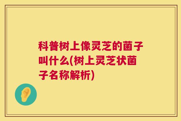 科普树上像灵芝的菌子叫什么(树上灵芝状菌子名称解析)