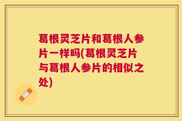 葛根灵芝片和葛根人参片一样吗(葛根灵芝片与葛根人参片的相似之处)